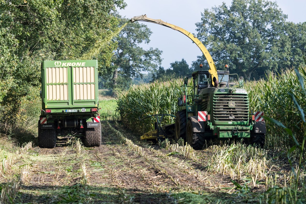 Bild 204 - Maisernte